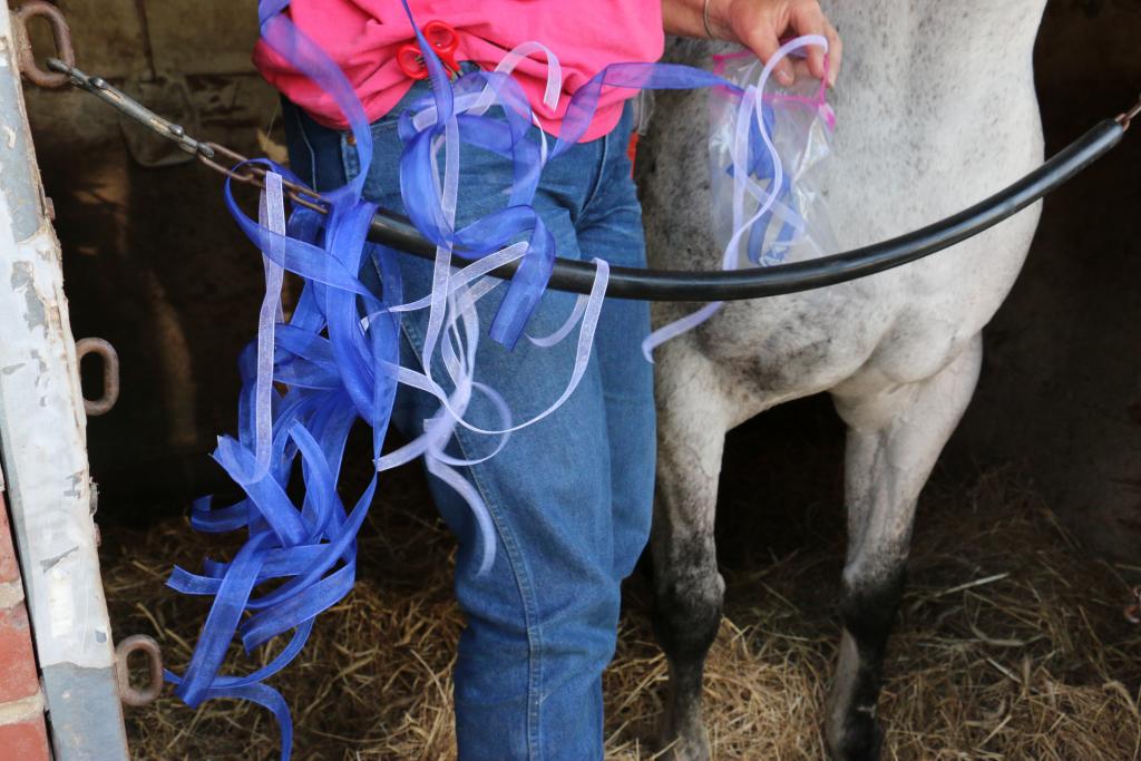 The mass of ribbons used for each horse's mane. 